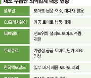 토마토·양상추 없는 햄버거라니… 외식업계, 채소 구하기 진땀