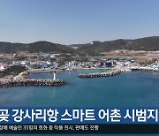 [여기는 포항] 호미곶 강사리항 스마트 어촌 시범지역 외