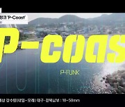 [대경튜브] 포스텍 피 펑크 ‘P-Coast’ 외