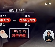 출생아 10%는 이른둥이···"지속적 지원 이뤄져야"