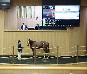 최고 낙찰가 1억6600만원… 1세 경주마 ‘귀하신 몸’