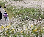 요란한 가을비… 주말 확 추워진다