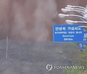 북한 "헌법에 대한민국 철저한 적대국가로 규제"…도로폭파 보도