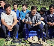 이재명 "농축산물 수급 안정 위한 수입권 농가에 줘야"