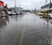 도로 침수, 나무 쓰러지고, 하수구 역류…인천 곳곳 비 피해