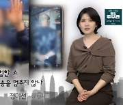 '궁금한 이야기 Y', 복지 크루와 위험한 쇼… 그는 왜 방송을 멈추지 않나