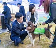 “비와도 참을 수 없는 반려견 산책”…강서구, 반려견 쉼터 오늘 개장