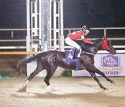 [경마] 쥬버나일 시리즈 두 번째 관문, 농협중앙회장배 개최...우승 후보는 실버레인