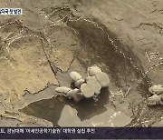 국내 첫 거대 초식공룡 스테고사우루스 발자국 공개