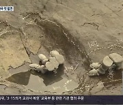 국내 첫 거대 초식공룡 스테고사우루스 발자국 공개