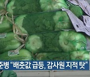 윤준병 “배춧값 급등, 감사원 지적 탓”