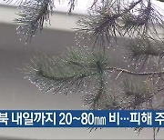 충북 내일까지 20~80mm 비…피해 주의