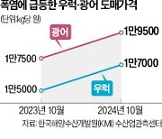 이상기온에 집단 폐사…우럭값 30% 오를 듯