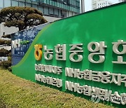 농협 공동대출 관리에 ‘구멍’···사전 규제 도입해놓고도 어물쩍 넘어가