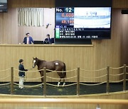 2024년 첫 1세 경주마 경매, ‘최고가 1억 6,600만원’ 기록