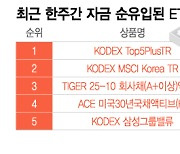 '수익률 26%' 잘 나가는데 돈 빼더니…"몸 사릴 때" 여기로 몰렸다