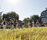 은평구 '향림 벼베는 날 논두렁 축제' 개최