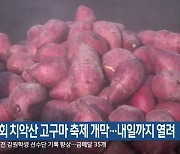 제3회 치악산 고구마 축제 개막…내일까지 열려