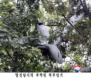 北 ‘한국군 무인기, 평양에’ 주장에…합참 “대꾸할 가치도 없다”