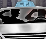 “댁에 그만 들어가셔라”…타이른 택시 기사 때리고 운전대까지 뺏은 만취 승객