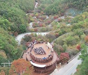 굽이굽이 단양 보발재 전망대 개장