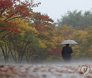 전국 곳곳 가을비 그친 뒤 기온 '뚝'…강풍에 '쌀쌀'