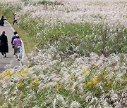 [내일날씨] 아침 쌀쌀…경기 북부·강원 내륙엔 서리·얼음