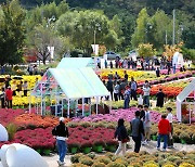 인제 가을꽃축제 성료…총 24만명 찾아