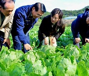 올해는'金배추' 안될라나…홍성 찾은 송미령 장관 "내달 수급 문제없다"