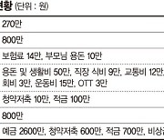 4년차 직장인 현재 자산은 4600만원… 3년간 1억으로 불릴 수 있을까요?[재테크 Q&A]