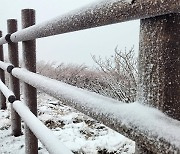 설악산은 이미 겨울…'영하 2.6도' 첫눈 내렸다