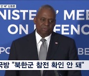 미 국방장관 "북 파병 확인 안 돼…사실이면 우려" 신중론