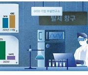 택시회사가 R&D 한다며 탈세…연구소 간판달고 주식리딩방 운영