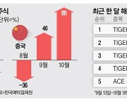 "中증시는 카지노판"…중학개미 '풀매수'에 쏟아지는 경고