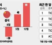 “여긴 주식시장 아닌 카지노판”…전문가들도 ‘풀매수’ 말리는 이 나라는