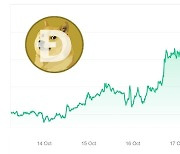 일주일 새 30% 오른 도지코인...‘밈 코인’ 다시 대세?