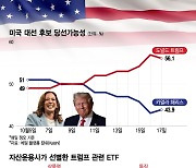 시계제로 미 대선, 트럼프에 베팅하려면...'이 ETF' 주목