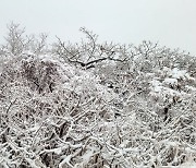 '겨울왕국' 첫눈 내린 설악산