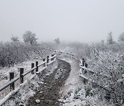 설악산 올가을 '첫 눈'