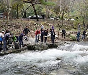 서산시, 용현계곡 찾은 아이들 체험 위해 다슬기 52만 마리 뿌려