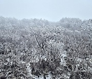 ‘단풍 절정’ 설악산, 정상에는 ‘첫눈’ 관측까지  [포토多이슈]