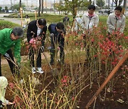 ‘탄소흡수 최적화’된 식재 정원 눈길···특허까지 취득