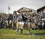 Switzerland Cow Race