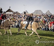 SWITZERLAND COW RACE