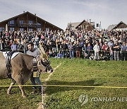 SWITZERLAND COW RACE