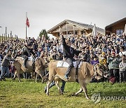 SWITZERLAND COW RACE