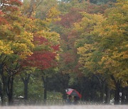 미세먼지 없는 가을 하늘…남부지방 비[오늘날씨]