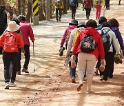 가을 단풍철 ‘실족·추락 주의보’…넉 달 새 헬기 출동 3배↑