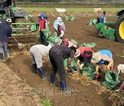 [르포] 8년의 정성 농축된 인삼… 고스란히 정수 담아 식탁까지