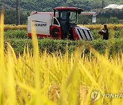 미곡처리장 찾은 농식품 장관…"쌀값 안정조치 적극 검토"